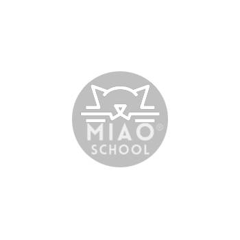 Miao School